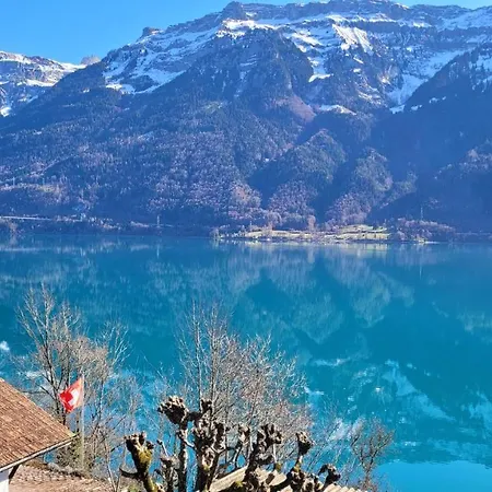 Alpina Boutique Interlaken - - Adults Only ! رينغنبرغ