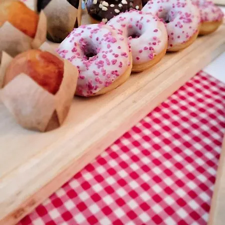 Alpina Boutique Interlaken - - Adults Only ! فندق