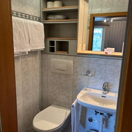 Alpina Boutique Interlaken - - Adults Only ! Ξενοδοχείο 3*