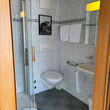 فندق Alpina Boutique Interlaken - - Adults Only !