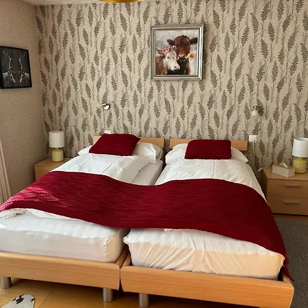 Alpina Boutique Hotel Interlaken - Ringgenberg - Adults Only ! Hotel