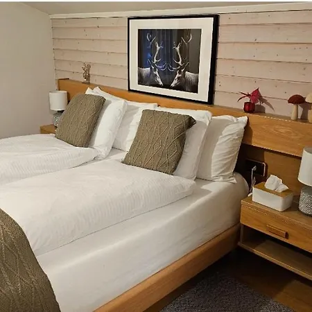 酒店 Alpina Boutique Interlaken - - Adults Only ! 3*