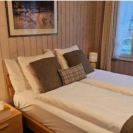 فندق Alpina Boutique Interlaken - - Adults Only ! رينغنبرغ