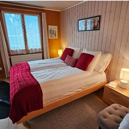 מלון Alpina Boutique Interlaken - - Adults Only !