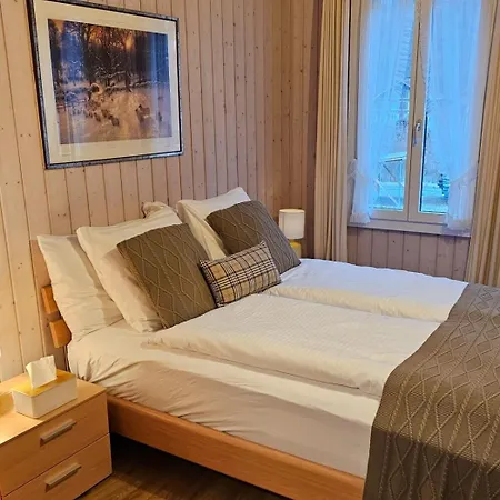 فندق Alpina Boutique Interlaken - - Adults Only ! رينغنبرغ