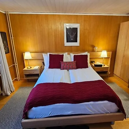 Alpina Boutique Hotel Interlaken - Ringgenberg - Adults Only ! 3* Ringgenberg