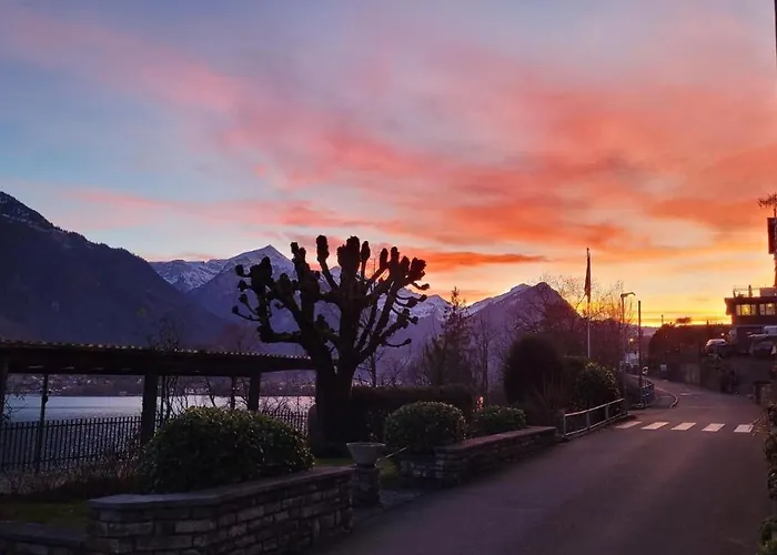 Hotel Alpina Boutique Interlaken - - Adults Only ! 3*