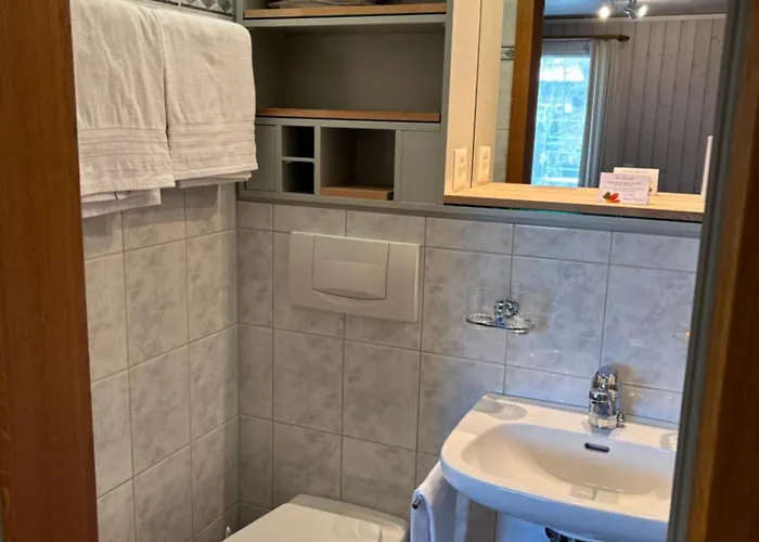 Alpina Boutique Interlaken - - Adults Only ! Hotel 3*