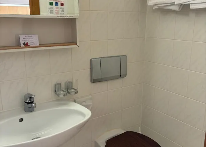 Hotel Alpina Boutique Interlaken - - Adults Only !