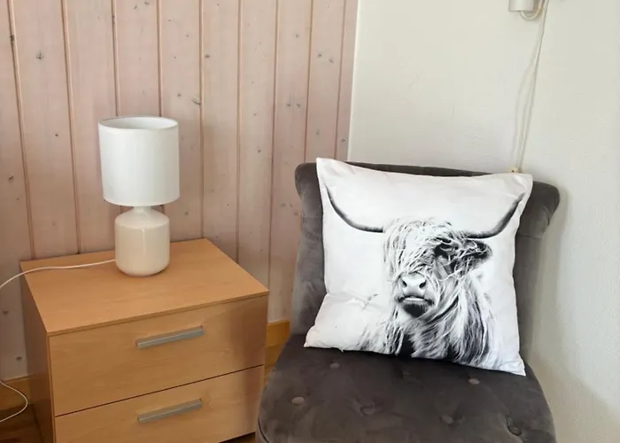 Hotel Alpina Boutique Interlaken - - Adults Only !