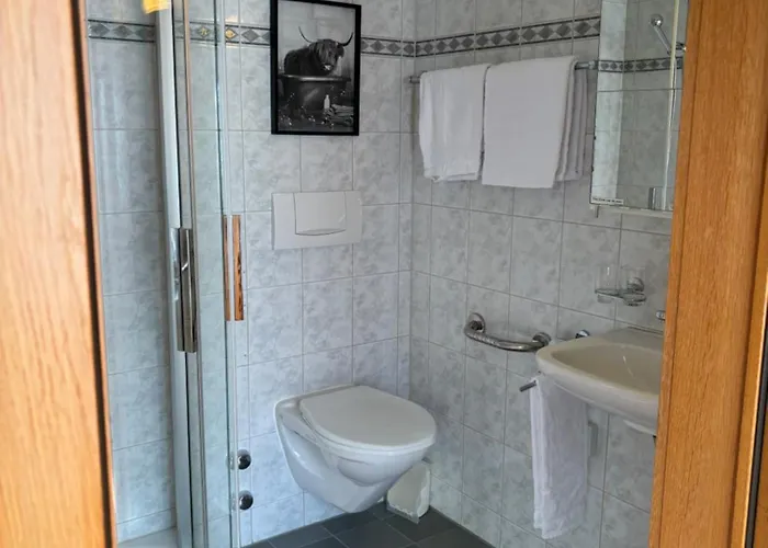 Hotel Alpina Boutique Interlaken - - Adults Only !