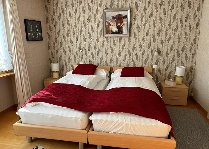 Alpina Boutique Interlaken - - Adults Only ! Hotel