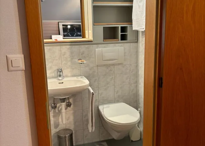 Alpina Boutique Interlaken - - Adults Only ! Hotel Ringgenberg