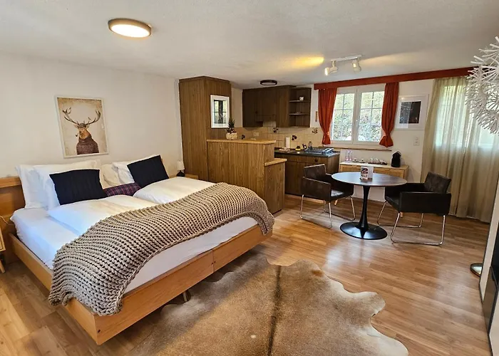 Alpina Boutique Interlaken - - Adults Only ! Hotel 3*