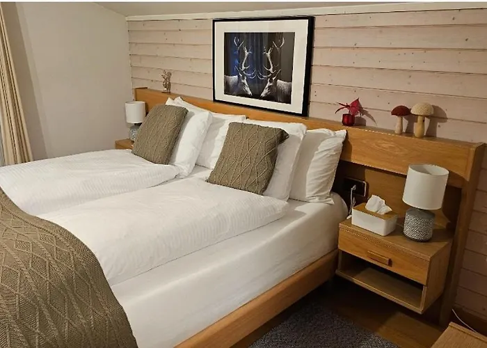 Hotel Alpina Boutique Interlaken - - Adults Only ! 3*