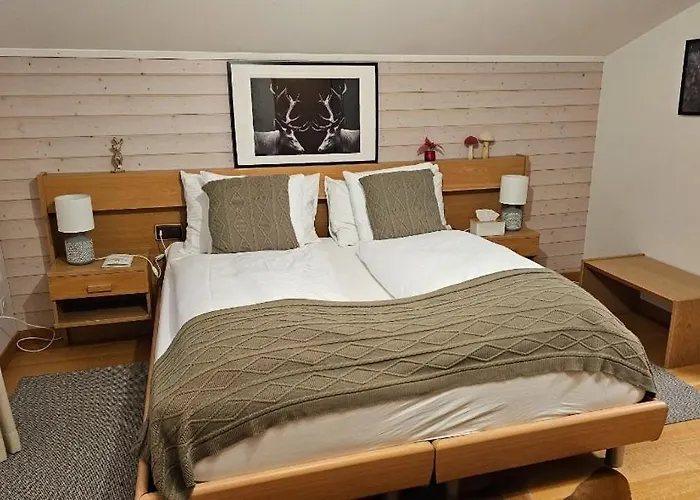 Alpina Boutique Interlaken - - Adults Only ! Hotel Ringgenberg