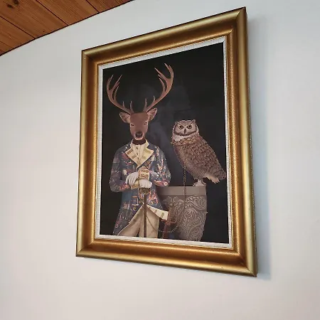 Alpina Boutique Interlaken - - Adults Only ! Hotel 3*