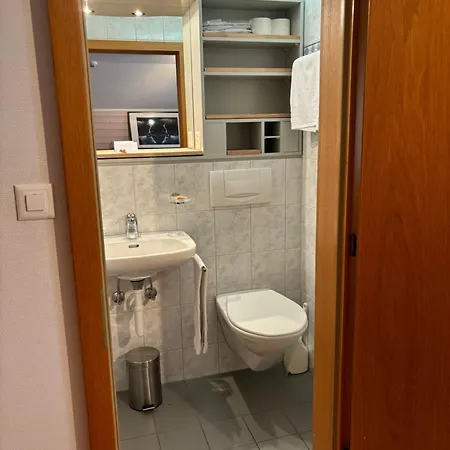 Alpina Boutique Interlaken - - Adults Only ! Hotel Ringgenberg