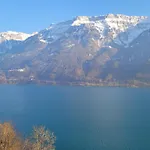 酒店 Alpina Boutique Interlaken - - Adults Only !
