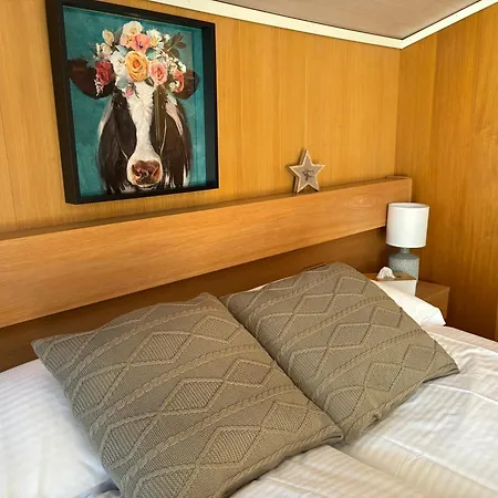 Hotel Alpina Boutique Hotel Interlaken - Ringgenberg - Adults Only ! 3*