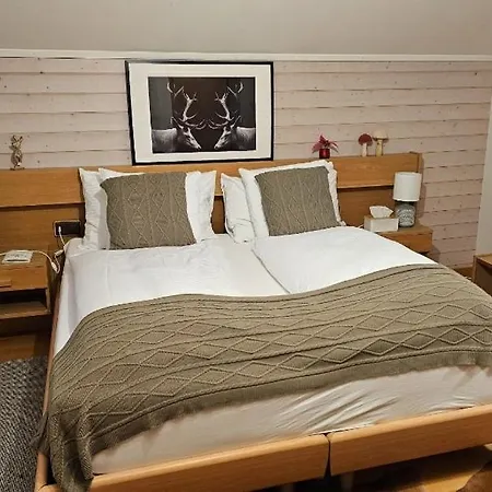 Alpina Boutique Hotel Interlaken - Ringgenberg - Adults Only ! Hotel Ringgenberg